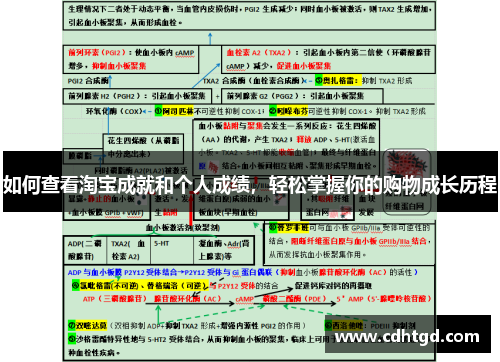 如何查看淘宝成就和个人成绩，轻松掌握你的购物成长历程